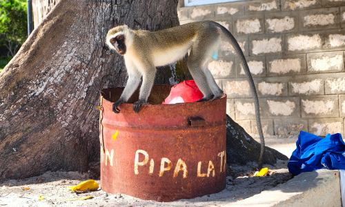do ciągu zdjęć 19
